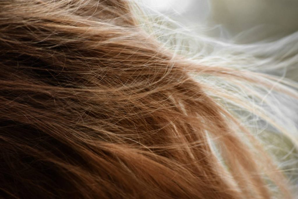 Hair Vitamins That Work: Why Most Fail—and What Actually Delivers Results